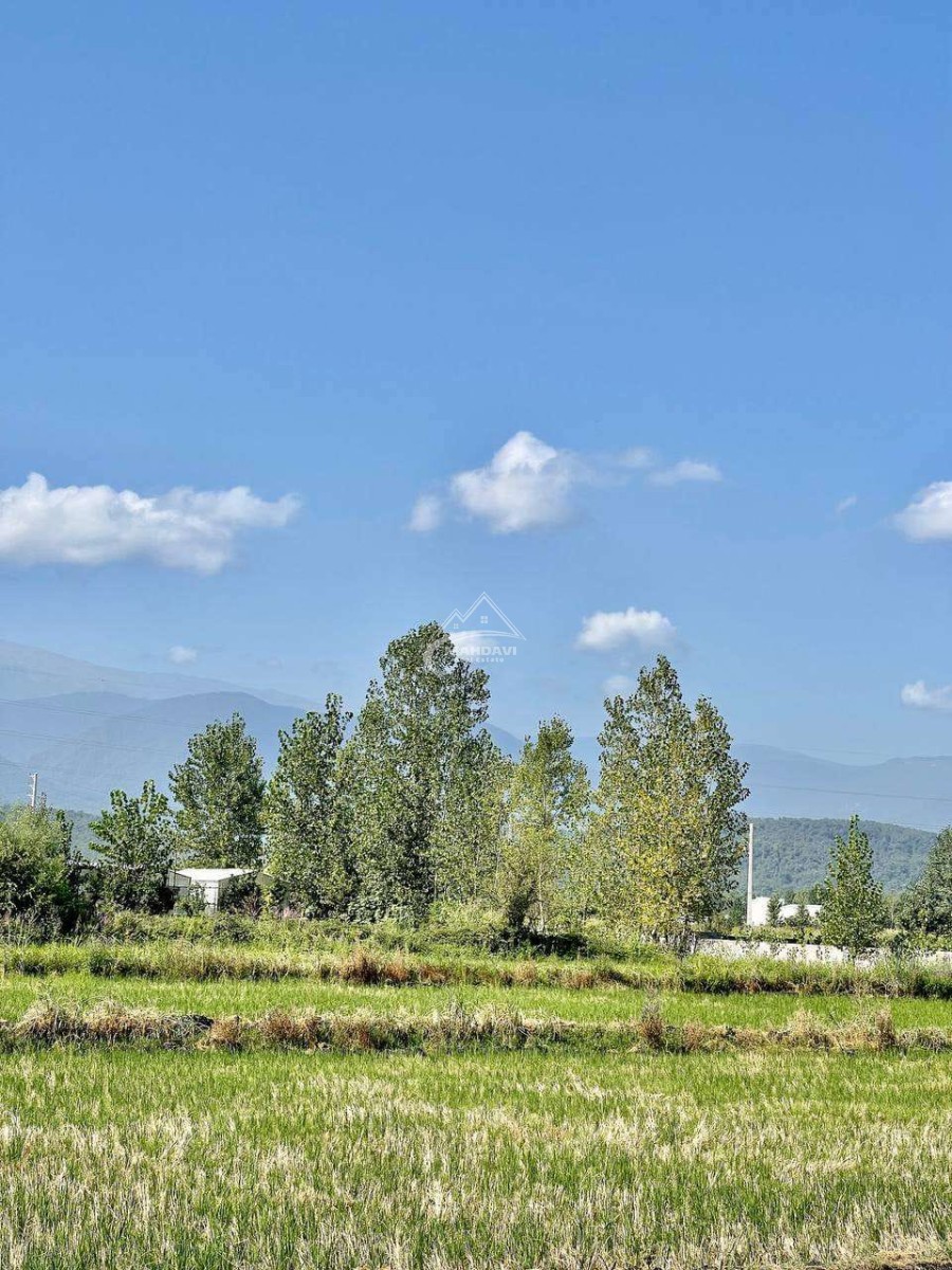 خرید ویلا نما کلاسیک در چمستان تا 2 میلیارد